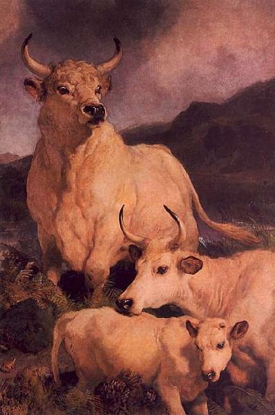 Sir Edwin Landseer Wild Cattle at Chillingham Norge oil painting art